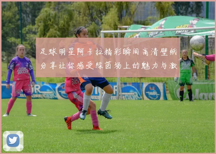 足球明星阿卡拉精彩瞬间高清壁纸分享让你感受绿茵场上的魅力与激情