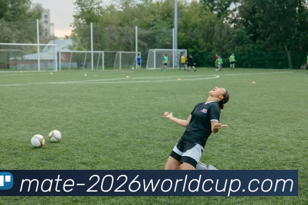 2026世界杯买球平台生态图